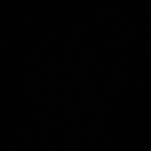 Meet your Posher, Joceline